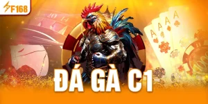 Đá gà C1