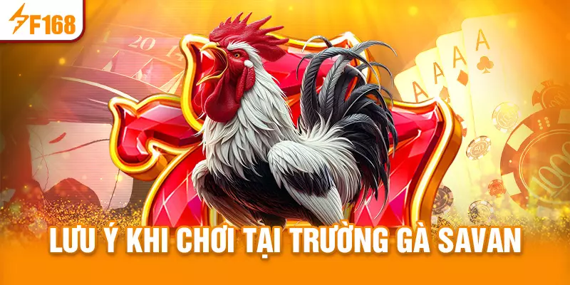 Lưu ý khi tham gia giải trí tại trường gà Savan